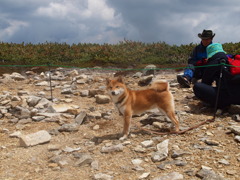 わんこも山登る。