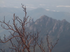 厳しさと凛々しさと・・