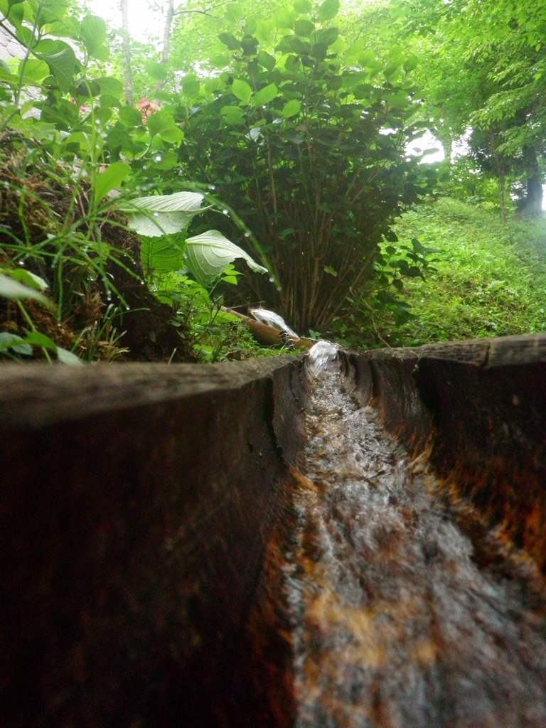 竹の川