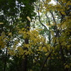道後公園002