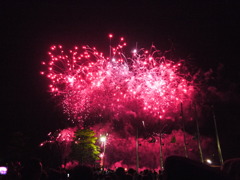 2011花火　真っ赤