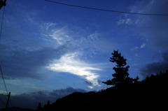 夏の碧