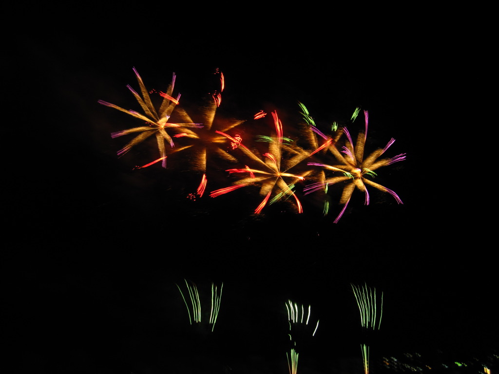 夜空に咲く花
