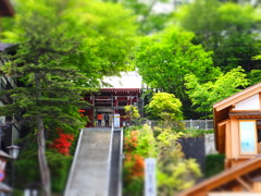 参拝してなかった場所。
