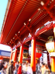 新しいカメラです