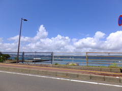 In The Breeze