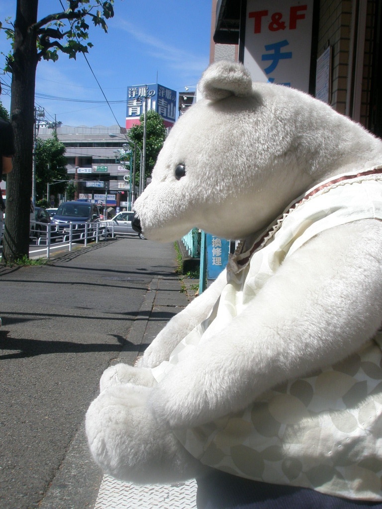 白クマさん、熱くないかい？