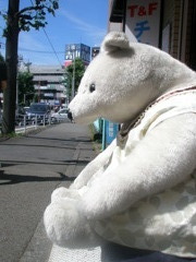 白クマさん、熱くないかい？