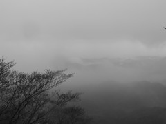 水墨チック