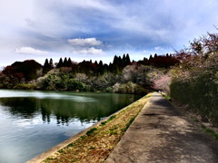 池の後半。