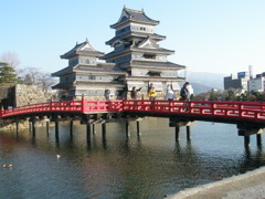 ご立派です。