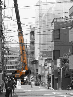 たたずむオレンジ