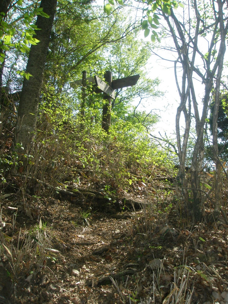 山道…？
