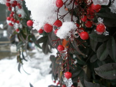 白＋赤＋緑＝クリスマス