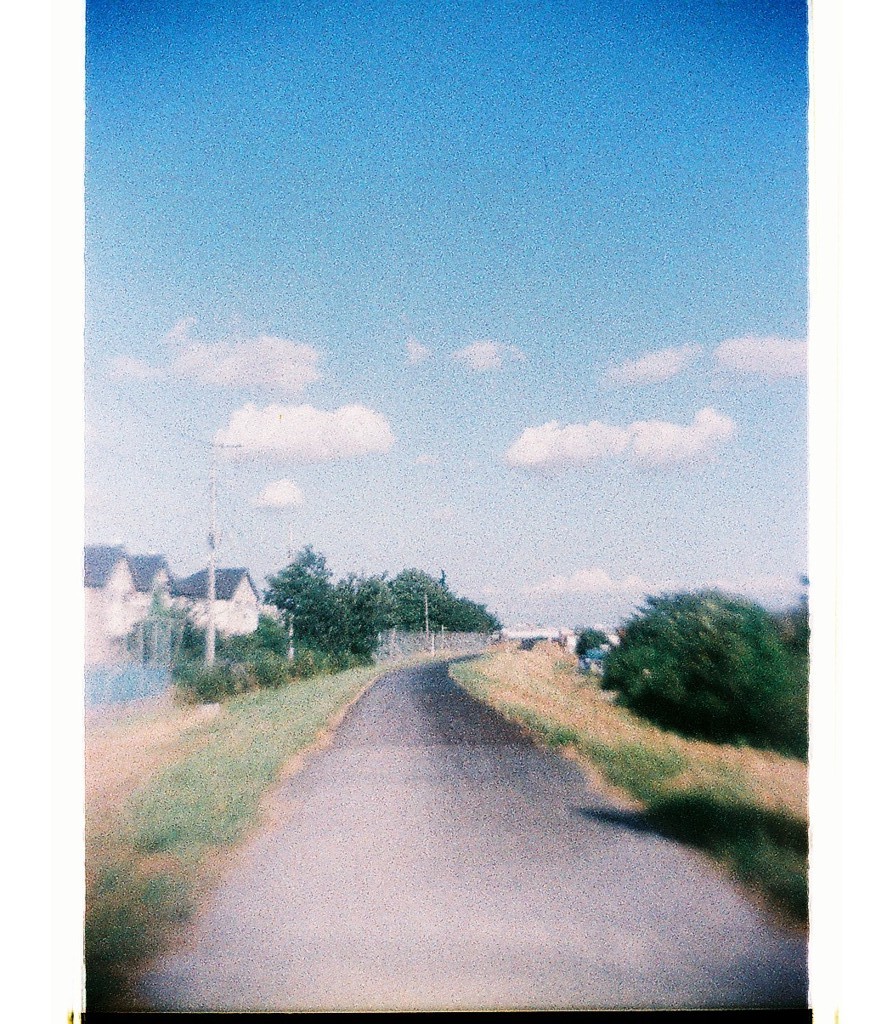 絵みたいな写真