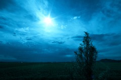 IMG_5246