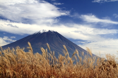 朝霧高原からの富士山