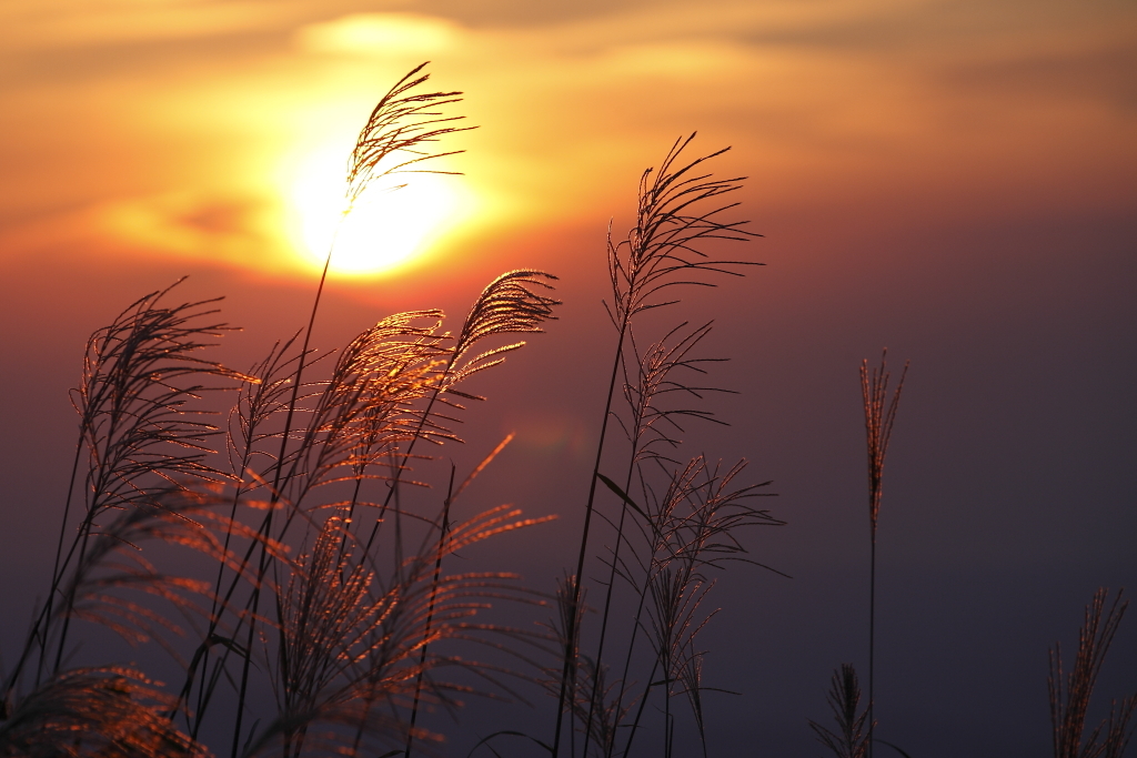 秋、夕景