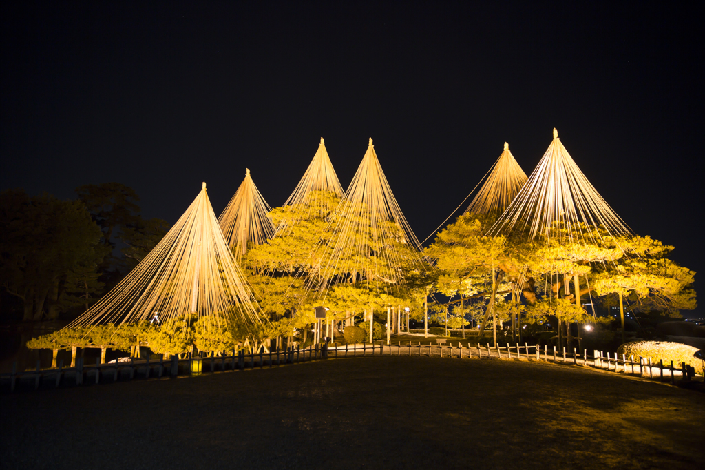 兼六園ライトアップ～冬の段～