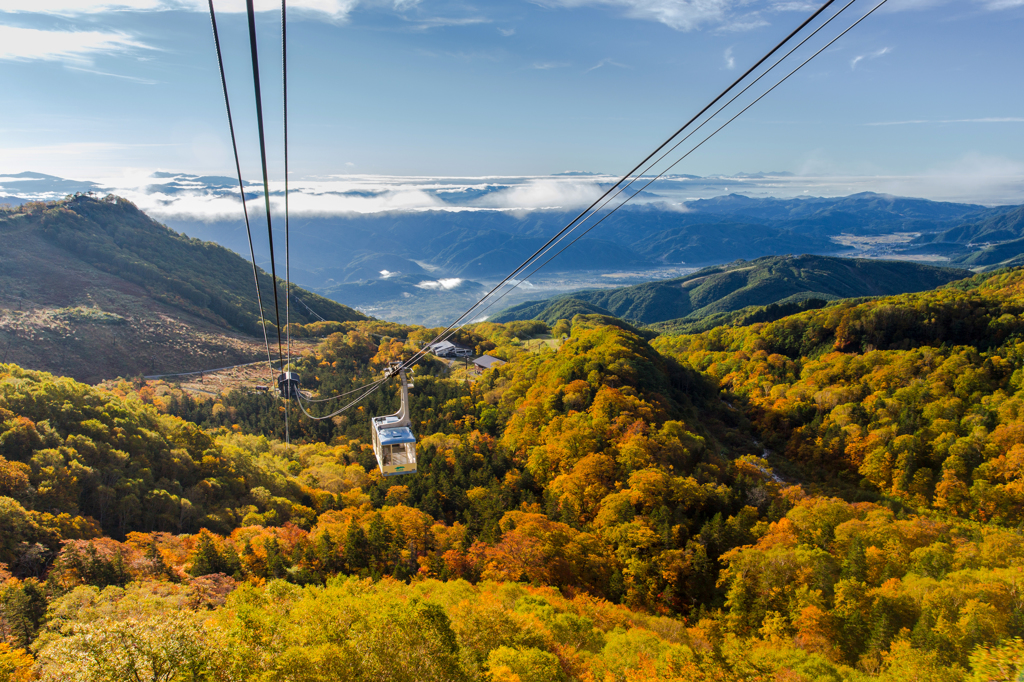 雲上の紅葉