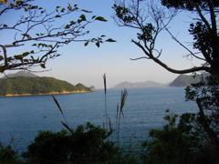 IMGP0434