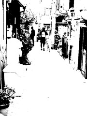 mono