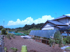 inaka