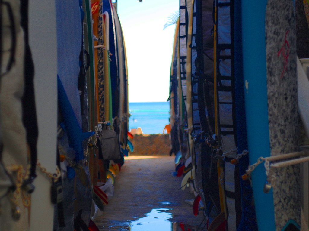 surf avenue2