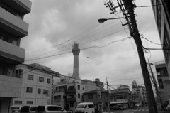 墨田区太平からのスカイツリー