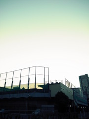 亀戸野球場裏