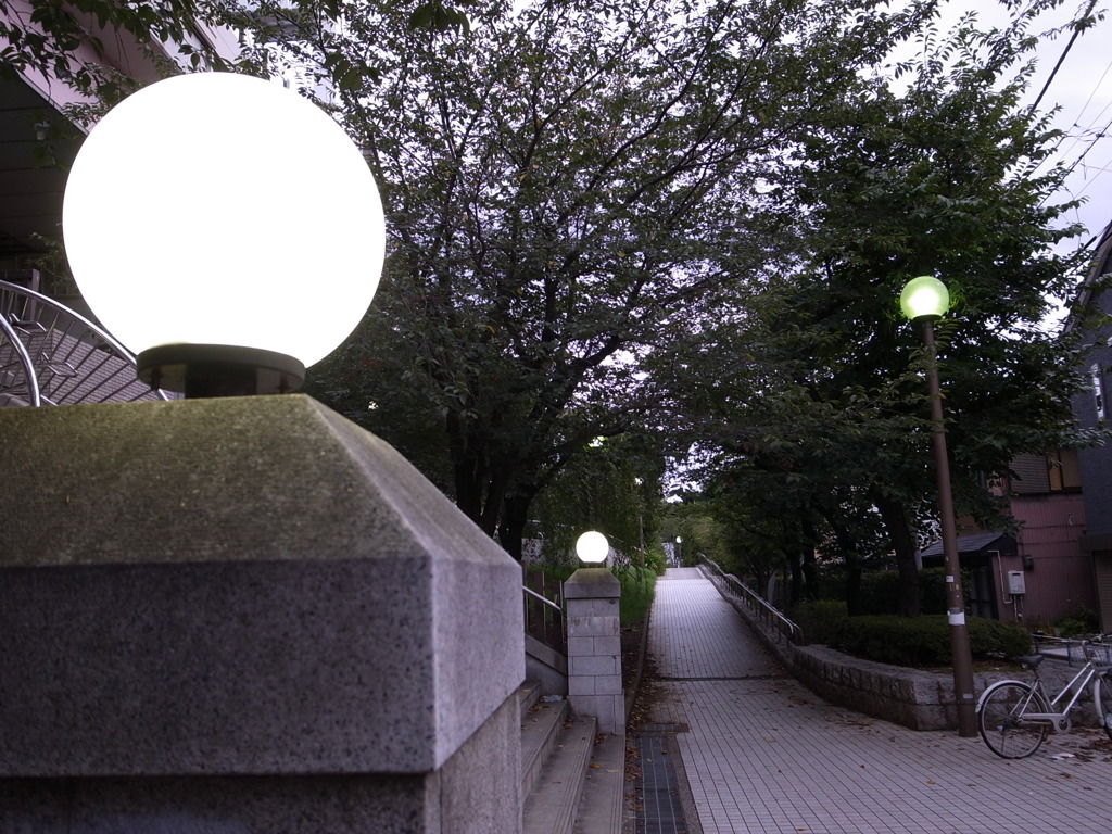 隅田川東岸さくら橋近く