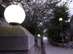 隅田川東岸さくら橋近く