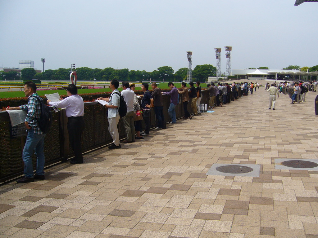 東京競馬場