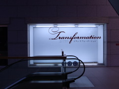 東京現代美術館