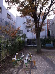 公園（清洲橋通り - 横十間川近く）