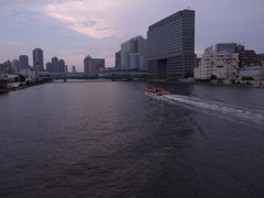 隅田川（清洲橋から河口方面）