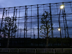 江東区大島からスカイツリー方面