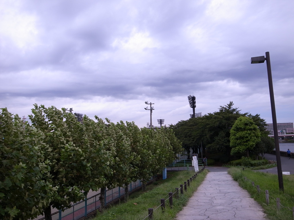 台東リバーサイドスポーツセンター野球場横