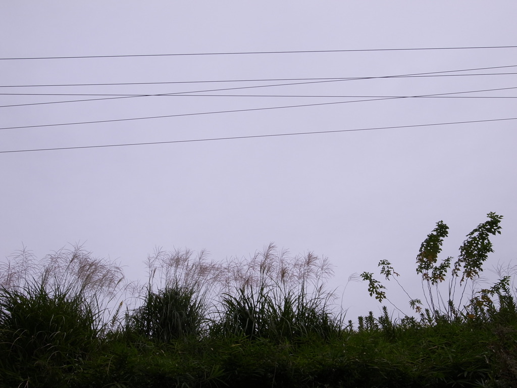 越中島線／2010年10月