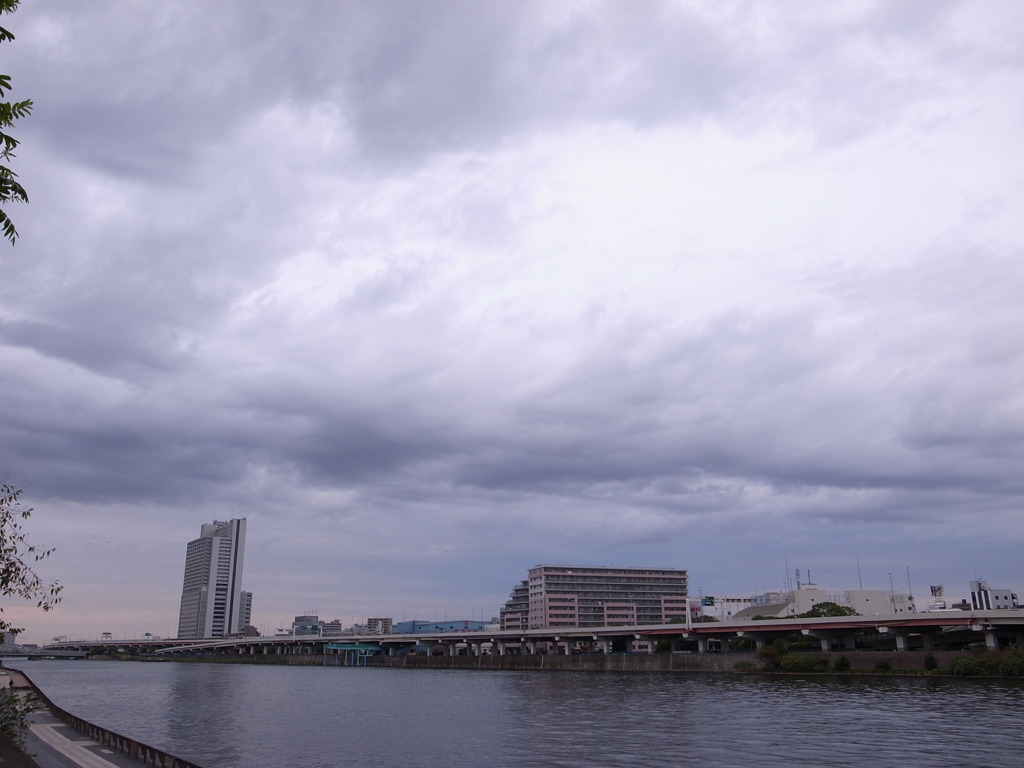 隅田川より向島方面へ