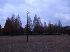 亀戸中央公園／2010年12月12日