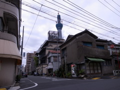 スカイツリー（向島辺りより）