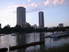 上野公園不忍池 --- 2010年10月10日