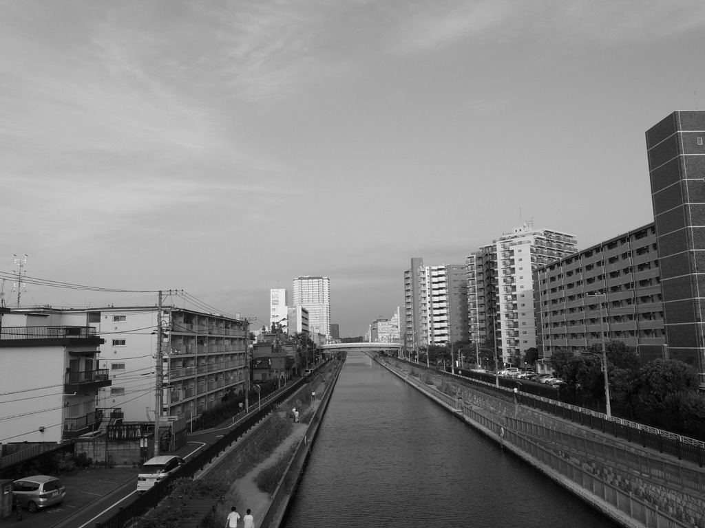 大島近辺の小名木川