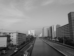 大島近辺の小名木川