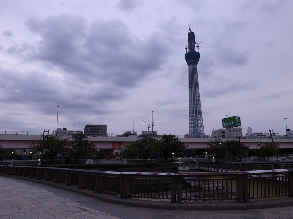 さくら橋からのスカイツリー