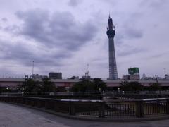 さくら橋からのスカイツリー