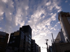 湯島　2010年11月