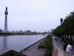 隅田川東岸よりスカイツリー