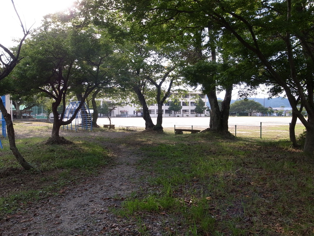 田舎の学校